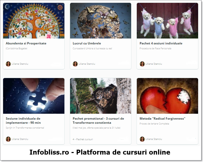 Infobliss