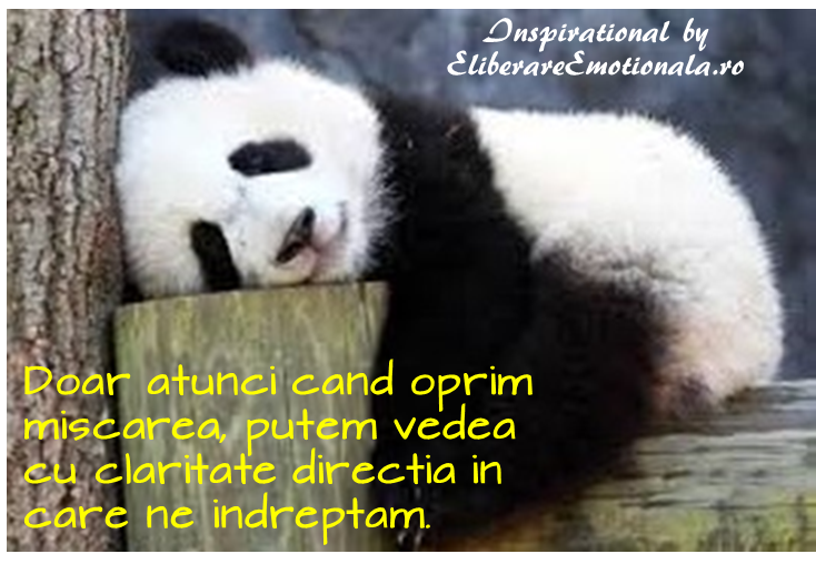 Relaxarea – de ce si cum o facem