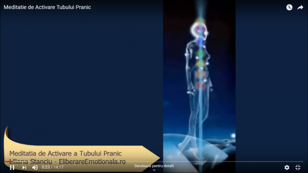 Instrument de Activare a Tubului Pranic