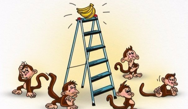 Care e “maimuta” ta? Afla astazi, la ora 19.00